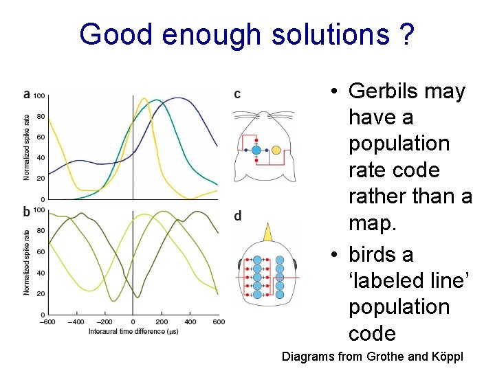 Good enough solutions ? • Gerbils may have a population rate code rather than
