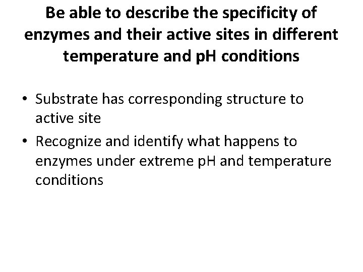 Be able to describe the specificity of enzymes and their active sites in different