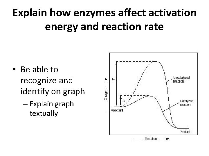 Explain how enzymes affect activation energy and reaction rate • Be able to recognize