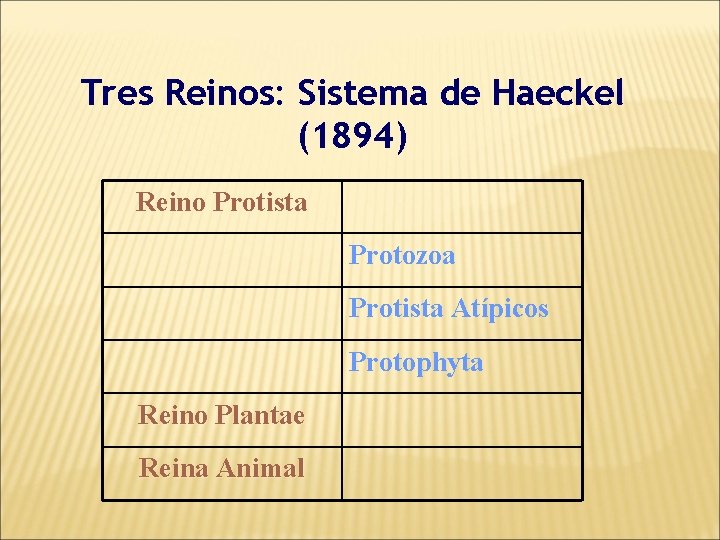 Tres Reinos: Sistema de Haeckel (1894) Reino Protista Protozoa Protista Atípicos Protophyta Reino Plantae