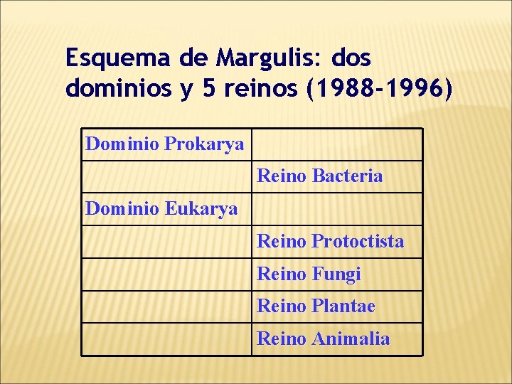 Esquema de Margulis: dos dominios y 5 reinos (1988 -1996) Dominio Prokarya Reino Bacteria