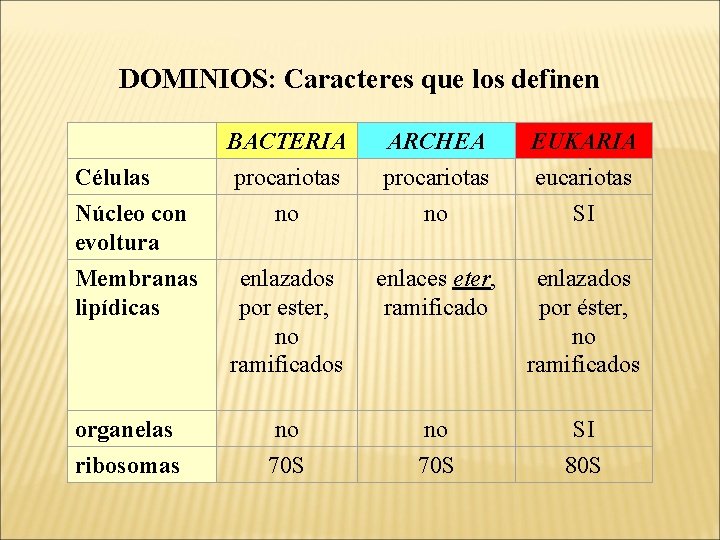 DOMINIOS: Caracteres que los definen Células Núcleo con evoltura Membranas lipídicas organelas ribosomas BACTERIA