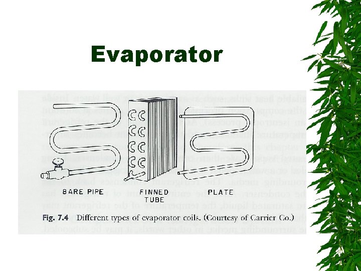 Evaporator 