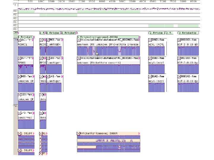 Oct 30, 8, 2009 2007 IMAS: Interactive Multigenomic Analysis System 25 
