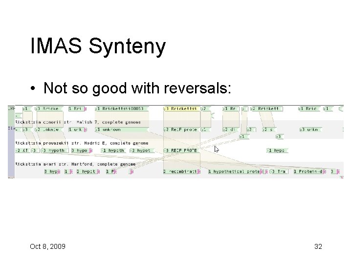 IMAS Synteny • Not so good with reversals: Oct 8, 2009 32 