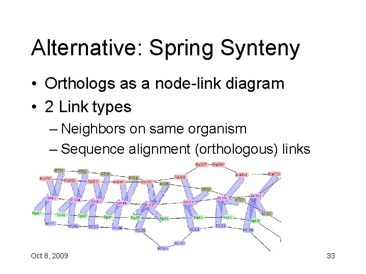 Alternative: Spring Synteny • Orthologs as a node-link diagram • 2 Link types –