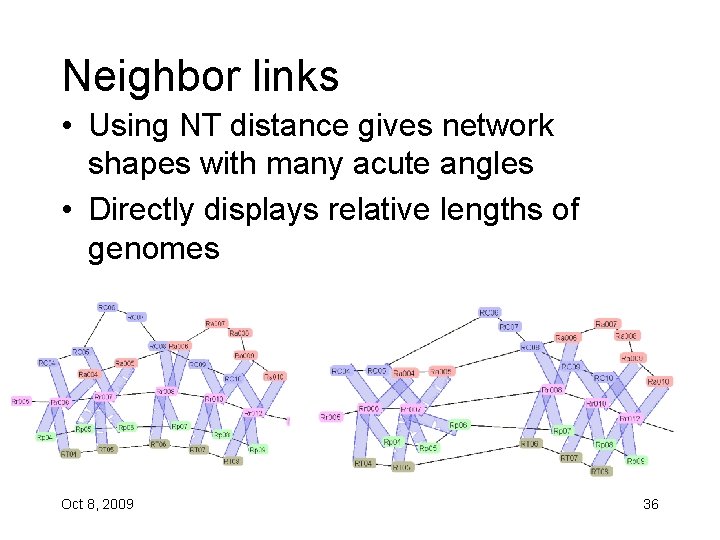 Neighbor links • Using NT distance gives network shapes with many acute angles •