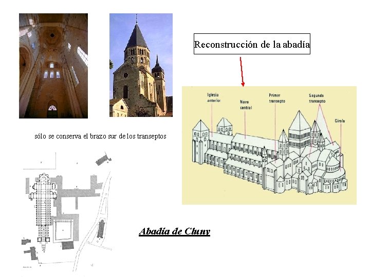 Reconstrucción de la abadía sólo se conserva el brazo sur de los transeptos Abadía