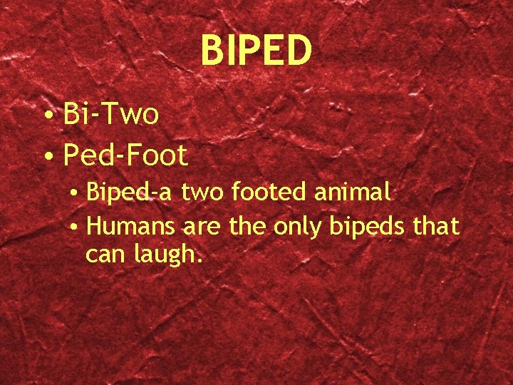 BIPED • Bi-Two • Ped-Foot • Biped-a two footed animal • Humans are the