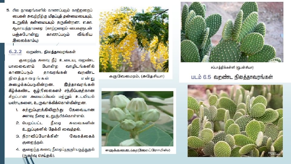 கலவ அம த http: //kalviamuthu. blogspot. com 