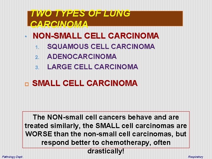 TWO TYPES OF LUNG CARCINOMA • NON-SMALL CELL CARCINOMA 1. 2. 3. SQUAMOUS CELL