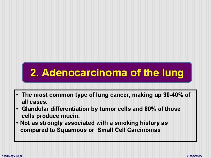 2. Adenocarcinoma of the lung • The most common type of lung cancer, making