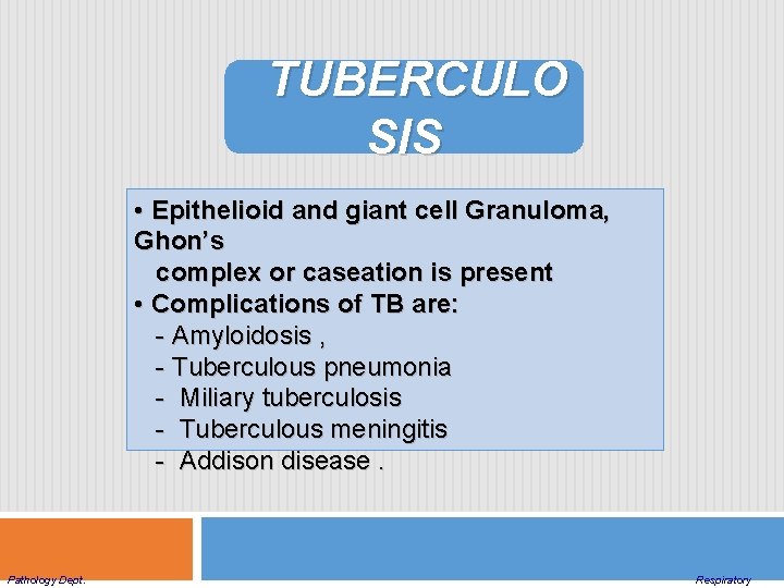 TUBERCULO SIS • Epithelioid and giant cell Granuloma, Ghon’s complex or caseation is present