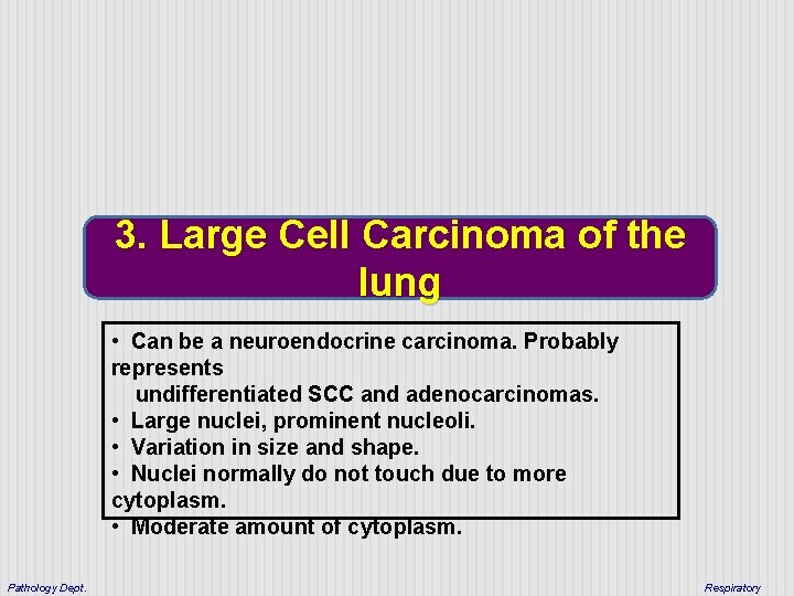 3. Large Cell Carcinoma of the lung • Can be a neuroendocrine carcinoma. Probably