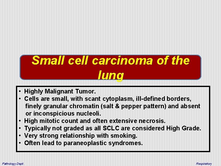 Small cell carcinoma of the lung • Highly Malignant Tumor. • Cells are small,