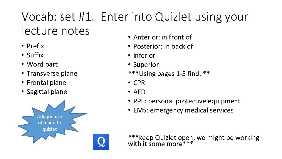 Vocab: set #1. Enter into Quizlet using your lecture notes • Anterior: in front