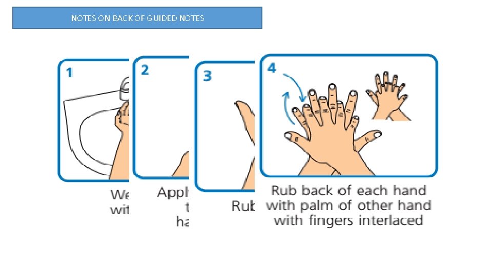 NOTES ON BACK OF GUIDED NOTES 