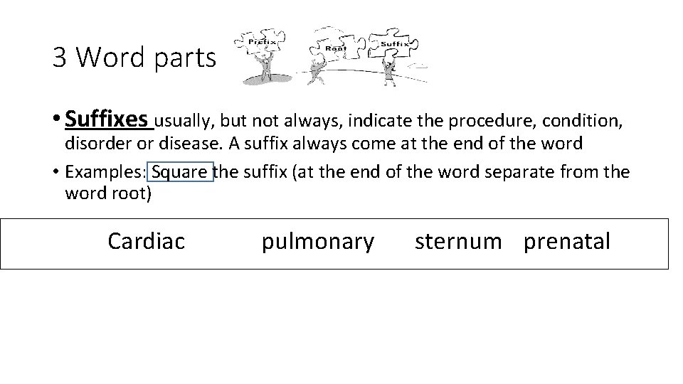 3 Word parts • Suffixes usually, but not always, indicate the procedure, condition, disorder