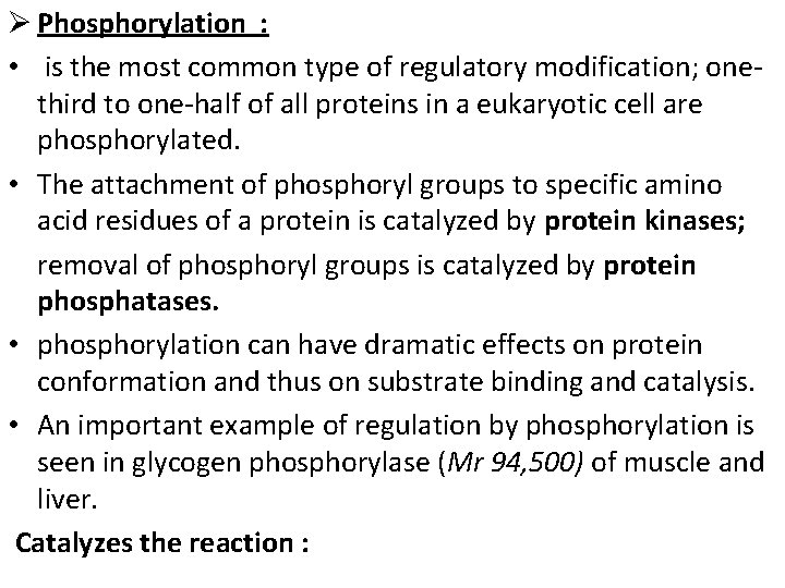 Ø Phosphorylation : • is the most common type of regulatory modification; onethird to