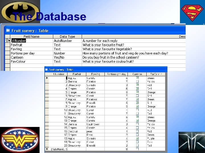 The Database 