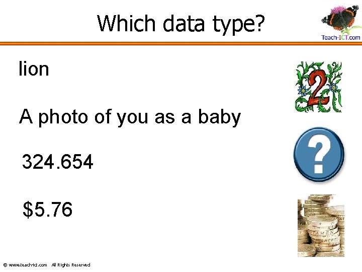 Which data type? lion A photo of you as a baby 324. 654 $5.