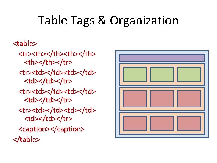 Table Tags & Organization <table> <tr><th></th> <th></tr> <tr><td></td><td></td></tr> <tr><td></td> <td></tr> <caption></caption> </table> 