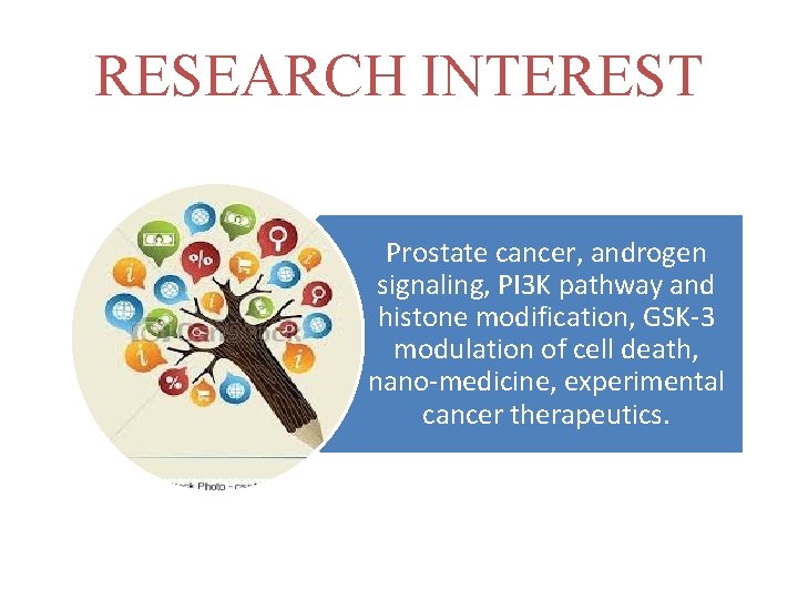 RESEARCH INTEREST Prostate cancer, androgen signaling, PI 3 K pathway and histone modification, GSK-3