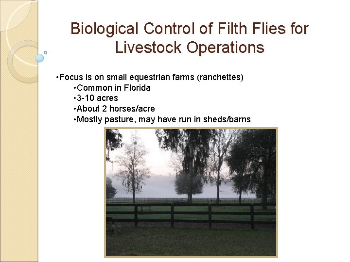 Biological Control of Filth Flies for Livestock Operations • Focus is on small equestrian