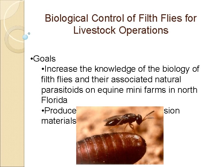 Biological Control of Filth Flies for Livestock Operations • Goals • Increase the knowledge