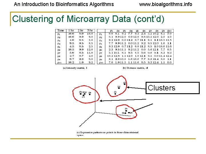 An Introduction to Bioinformatics Algorithms www. bioalgorithms. info Clustering of Microarray Data (cont’d) Clusters An Introduction to Bioinformatics Algorithms www. bioalgorithms. info Clustering of Microarray Data (cont’d) Clusters