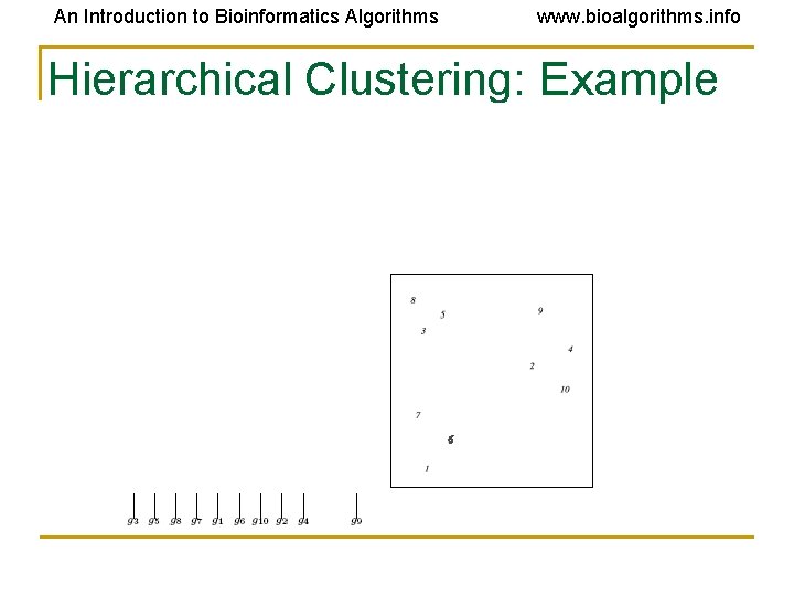An Introduction to Bioinformatics Algorithms www. bioalgorithms. info Hierarchical Clustering: Example An Introduction to Bioinformatics Algorithms www. bioalgorithms. info Hierarchical Clustering: Example