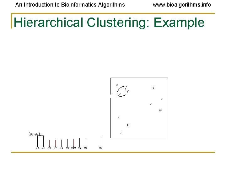 An Introduction to Bioinformatics Algorithms www. bioalgorithms. info Hierarchical Clustering: Example An Introduction to Bioinformatics Algorithms www. bioalgorithms. info Hierarchical Clustering: Example
