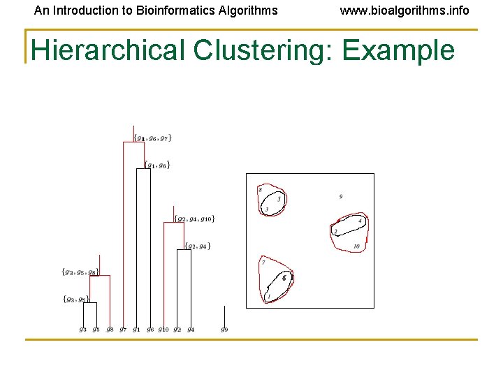 An Introduction to Bioinformatics Algorithms www. bioalgorithms. info Hierarchical Clustering: Example An Introduction to Bioinformatics Algorithms www. bioalgorithms. info Hierarchical Clustering: Example