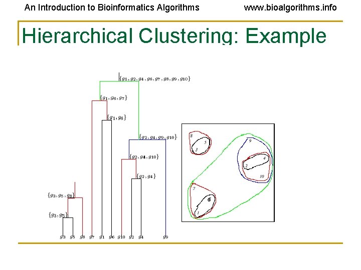 An Introduction to Bioinformatics Algorithms www. bioalgorithms. info Hierarchical Clustering: Example An Introduction to Bioinformatics Algorithms www. bioalgorithms. info Hierarchical Clustering: Example
