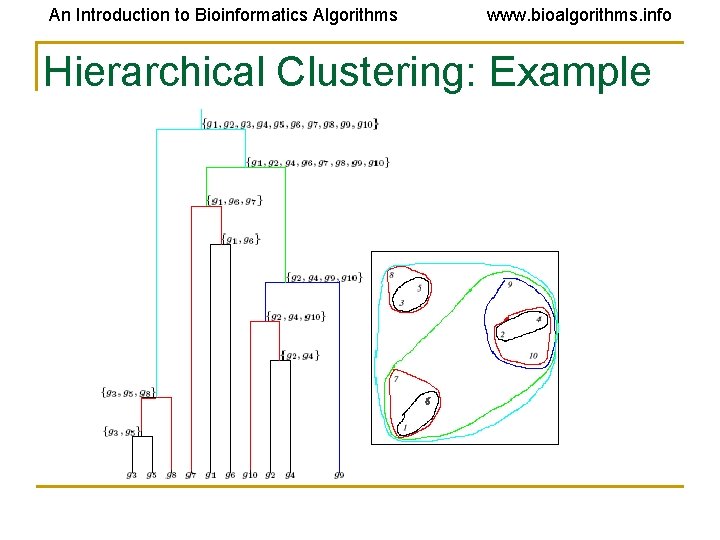 An Introduction to Bioinformatics Algorithms www. bioalgorithms. info Hierarchical Clustering: Example An Introduction to Bioinformatics Algorithms www. bioalgorithms. info Hierarchical Clustering: Example