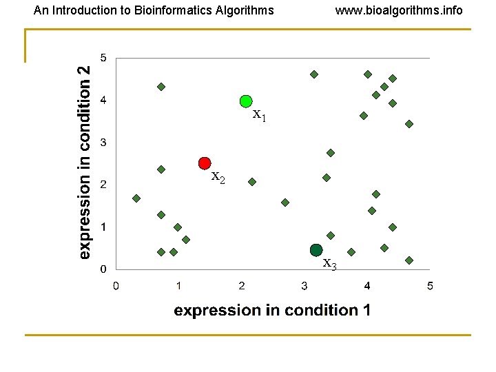 An Introduction to Bioinformatics Algorithms www. bioalgorithms. info x 1 x 2 x 3 An Introduction to Bioinformatics Algorithms www. bioalgorithms. info x 1 x 2 x 3