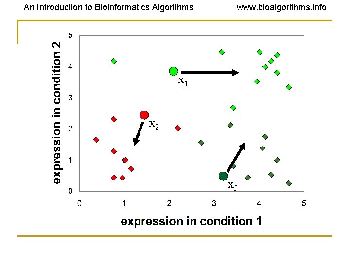 An Introduction to Bioinformatics Algorithms www. bioalgorithms. info x 1 x 2 x 3 An Introduction to Bioinformatics Algorithms www. bioalgorithms. info x 1 x 2 x 3