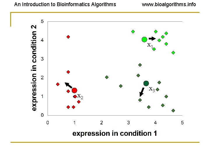 An Introduction to Bioinformatics Algorithms www. bioalgorithms. info x 1 x 2 x 3 An Introduction to Bioinformatics Algorithms www. bioalgorithms. info x 1 x 2 x 3