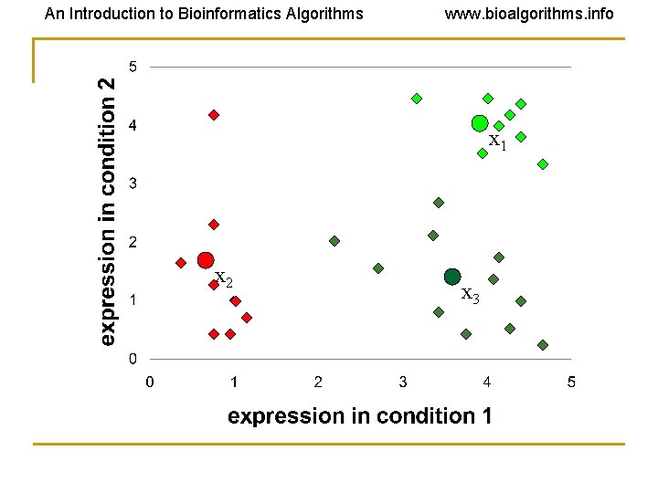 An Introduction to Bioinformatics Algorithms www. bioalgorithms. info x 1 x 2 x 3 An Introduction to Bioinformatics Algorithms www. bioalgorithms. info x 1 x 2 x 3