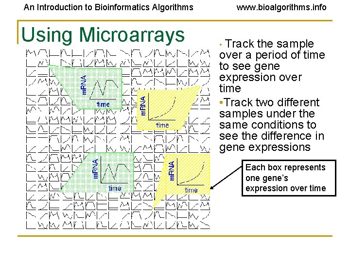 An Introduction to Bioinformatics Algorithms Using Microarrays www. bioalgorithms. info • Track the sample An Introduction to Bioinformatics Algorithms Using Microarrays www. bioalgorithms. info • Track the sample
