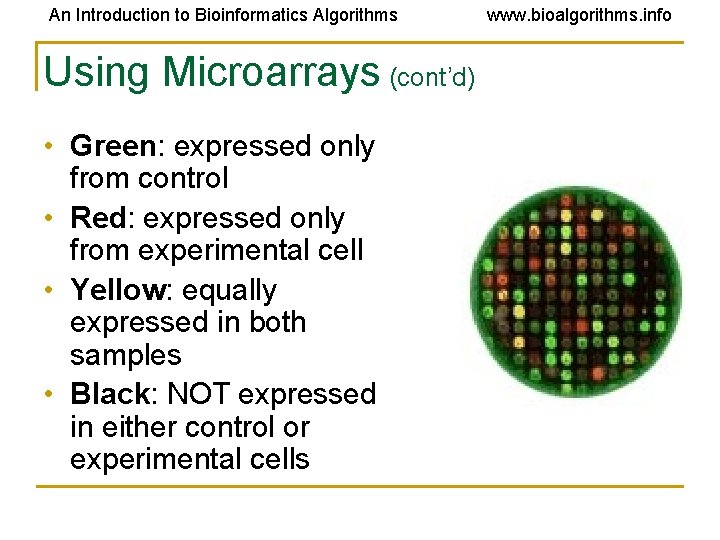 An Introduction to Bioinformatics Algorithms Using Microarrays (cont’d) • Green: expressed only from control An Introduction to Bioinformatics Algorithms Using Microarrays (cont’d) • Green: expressed only from control