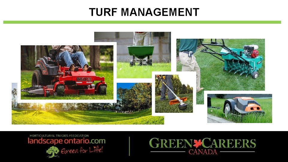 TURF MANAGEMENT 