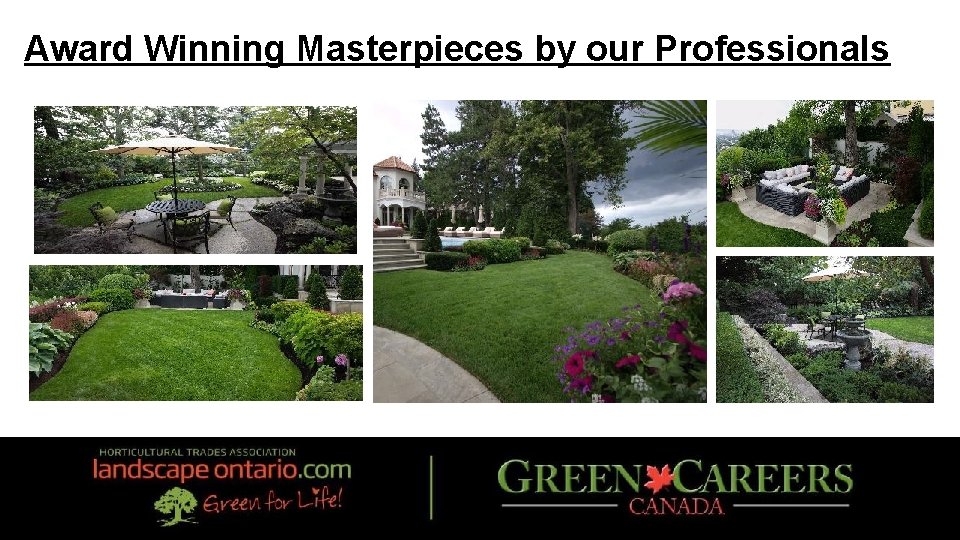 Award Winning Masterpieces by our Professionals 