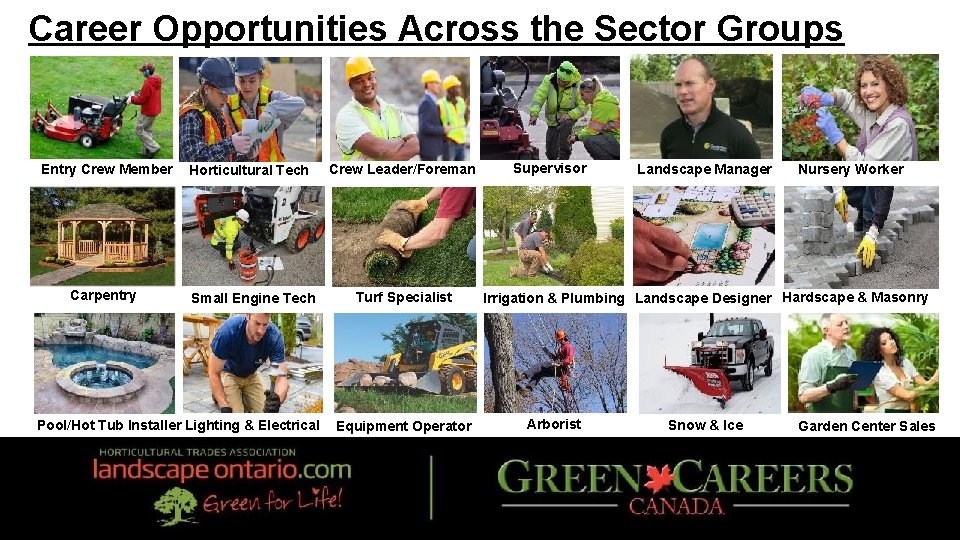Career Opportunities Across the Sector Groups Entry Crew Member Horticultural Tech Crew Leader/Foreman Carpentry