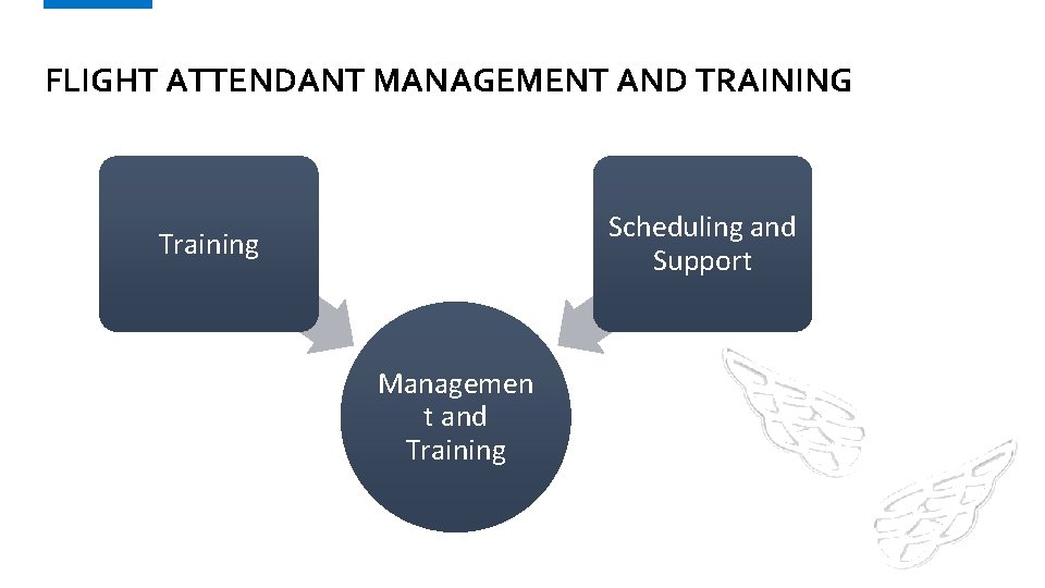 FLIGHT ATTENDANT MANAGEMENT AND TRAINING Scheduling and Support Training Managemen t and Training 