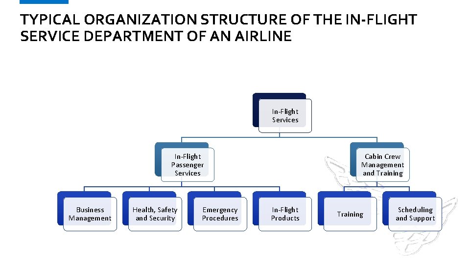 TYPICAL ORGANIZATION STRUCTURE OF THE IN-FLIGHT SERVICE DEPARTMENT OF AN AIRLINE In-Flight Services In-Flight