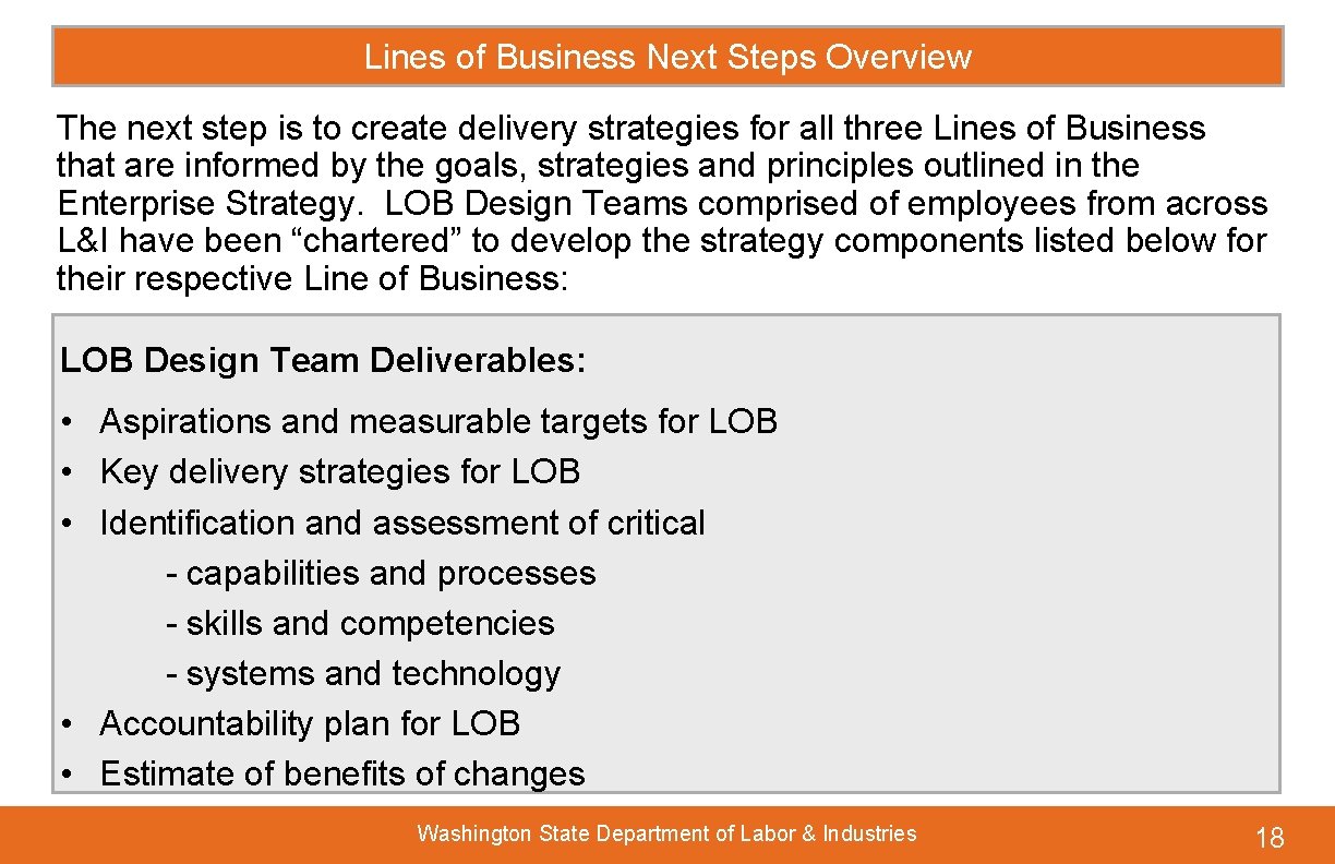 Lines of Business Next Steps Overview The next step is to create delivery strategies