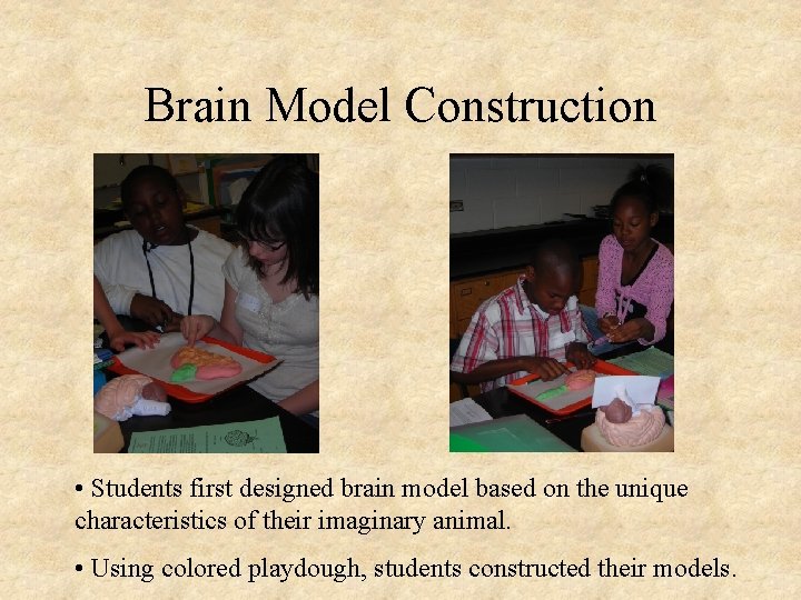 Brain Model Construction • Students first designed brain model based on the unique characteristics