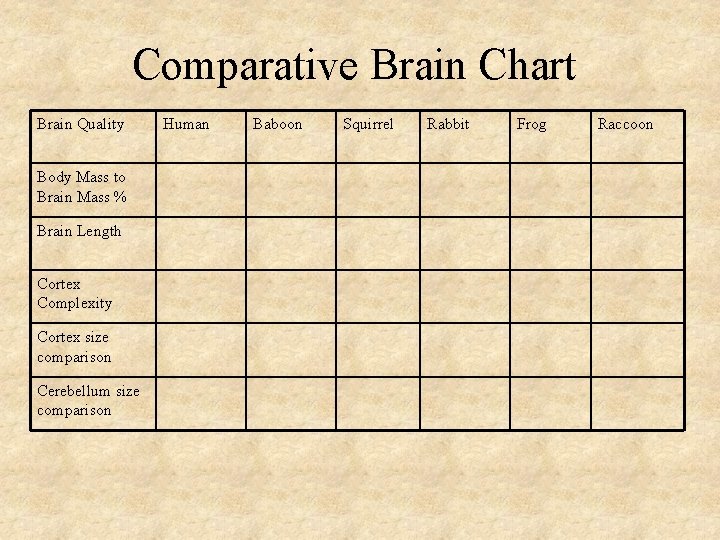Comparative Brain Chart Brain Quality Body Mass to Brain Mass % Brain Length Cortex