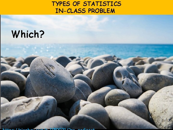 TYPES OF STATISTICS IN-CLASS PROBLEM Which? 